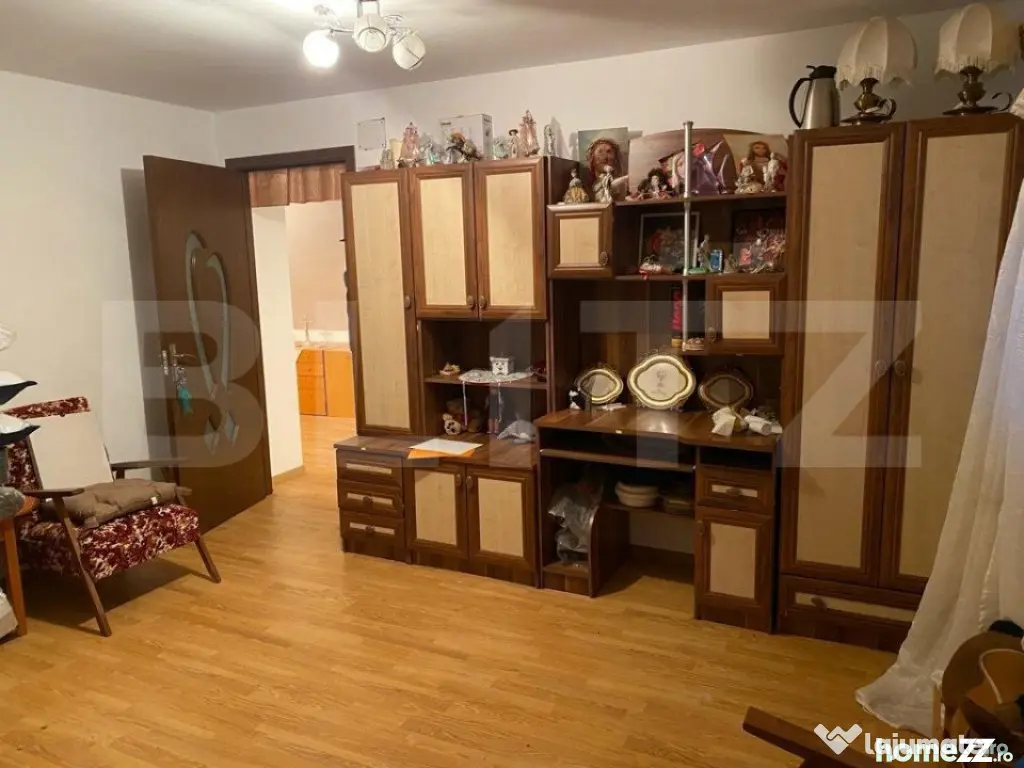 Casa si hala de vanzare, in Horodnic de Sus