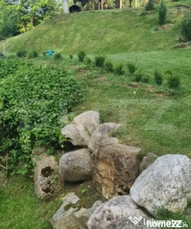 Vilă 7 camere, 240mp, 1253mp teren, Fieni - Fieni (Dambovita)