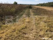 Teren 3222 mp, zona Dragomiresti