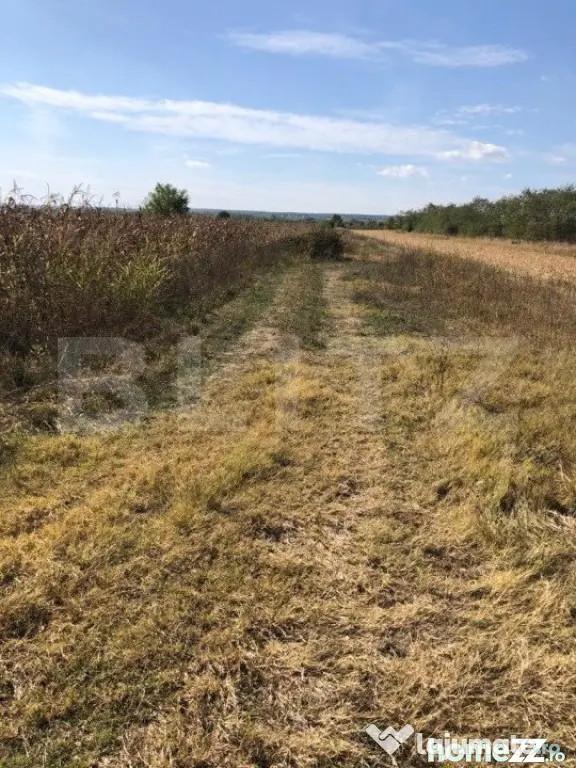 Teren 3222 mp, zona Dragomiresti - Dragomiresti (Dambovita)