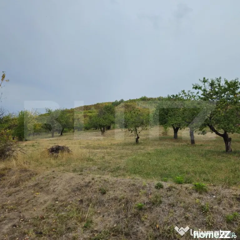 Teren extravilan 17524 mp, expunere sudica, Viforata - Viforata (Dambovita)