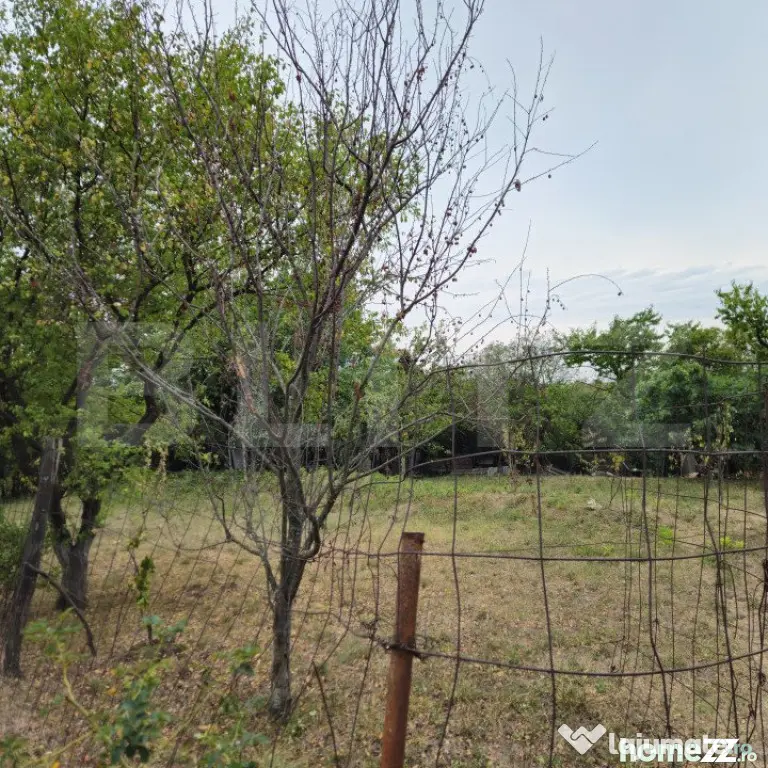 Teren extravilan 17524 mp, expunere sudica, Viforata - Viforata (Dambovita)