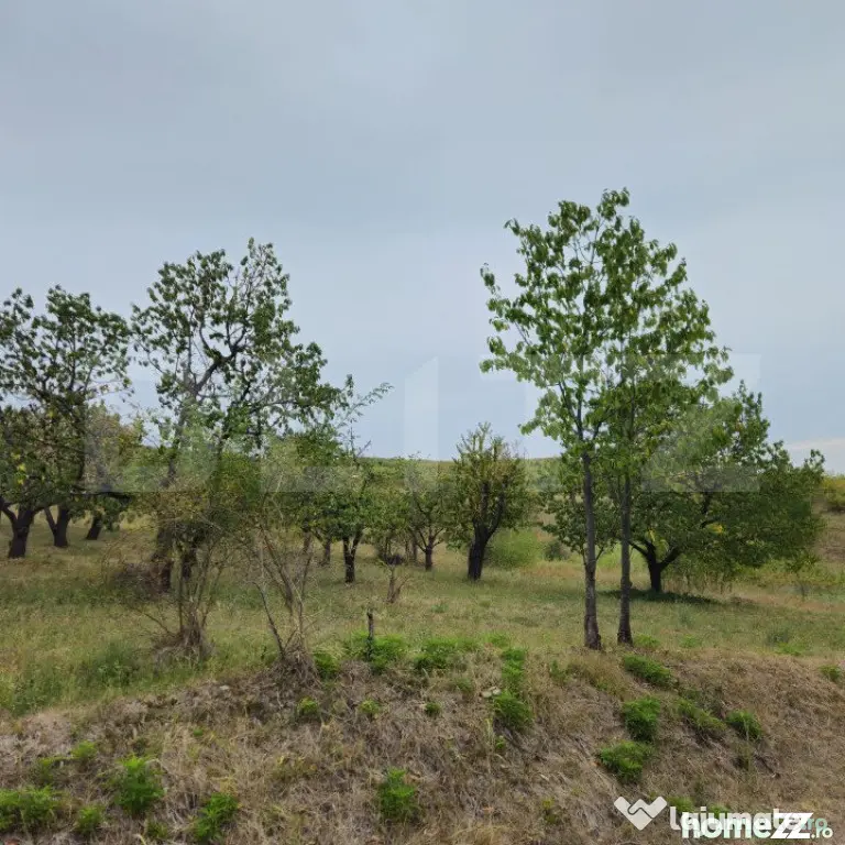 Teren extravilan 17524 mp, expunere sudica, Viforata - Viforata (Dambovita)