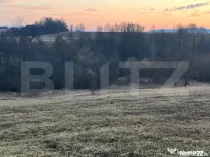 Teren intravilan, 27750mp, Horodnic de Jos, Radauti