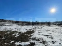 Teren extravilan, 5.400 mp, intrare Rădașeni