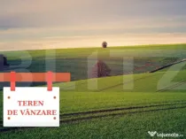 Teren extravilan, 125000mp, Bara