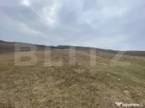 TEREN EXTRAVILAN 25 ARII, Jelna