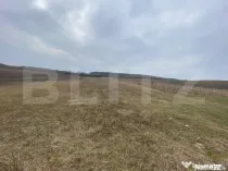 TEREN EXTRAVILAN 25 ARII, Jelna