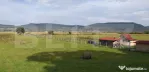 Teren Arcalia 3000mp Intravilan