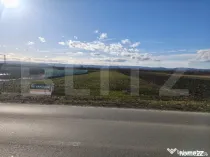 Teren intravilan ,4900 mp , 25ml front, Fratautii Vechi, Rad