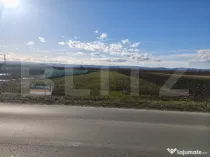 Teren intravilan ,4900 mp , 25ml front, Fratautii Vechi, Rad