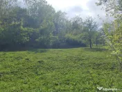 Teren Breaza 2160 mp 