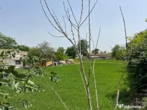 Casă de vanzare, situată in MIHAIL KOGALNICEANU