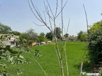 Casă de vânzare în Mihail Kogălniceanu | Locuință spa?
