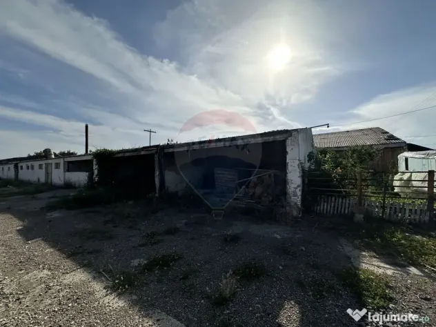Spațiu industrial Hale si Fabrica de lemn