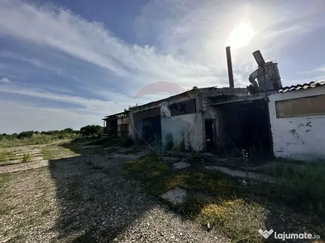 Spațiu industrial Hale si Fabrica de lemn