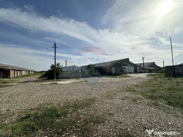 Spațiu industrial Hale si Fabrica de lemn