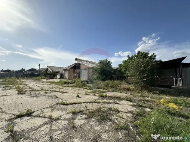 Spațiu industrial Hale si Fabrica de lemn
