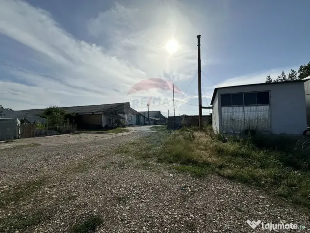 Spațiu industrial Hale si Fabrica de lemn