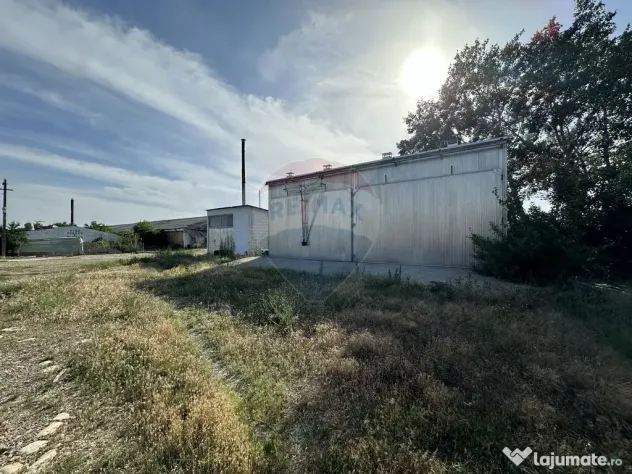 Spațiu industrial Hale si Fabrica de lemn