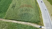 Teren 3,500mp Ilisesti / Strada Principala 