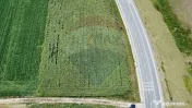 Teren 3,500mp Ilisesti / Strada Principala 