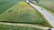 Teren 3,500mp Ilisesti / Strada Principala 