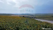 Teren 3,500mp Ilisesti / Strada Principala 