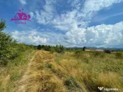 Teren de vanzare in Meziad. 