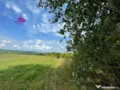 Teren de vanzare in Meziad. 