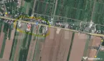 Teren intravilan, Albesti, centura ploiesti, 2500mp