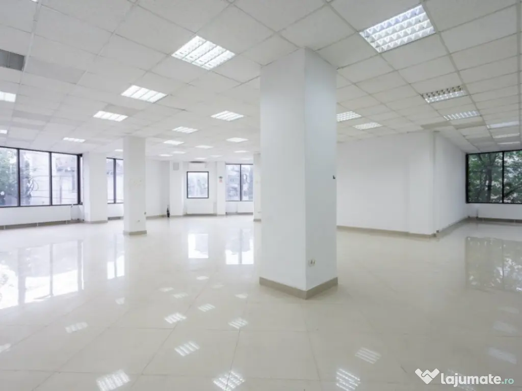 Ferdinand Cladire Birouri -