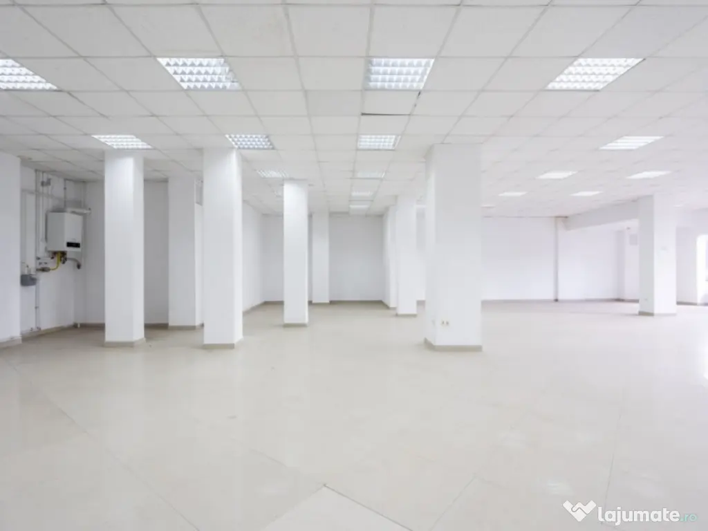 Ferdinand Cladire Birouri -