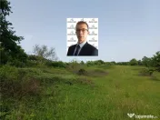 Resita, Teren Drept Intravilan, 11510 Mp., 4 Euro/Mp., Valea 