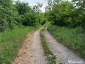 Resita, Teren Drept Intravilan, 11510 Mp., 4 Euro/Mp., Valea 