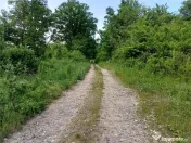 Resita, Teren Drept Intravilan, 11510 Mp., 4 Euro/Mp., Valea 