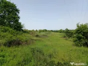 Resita, Teren Drept Intravilan, 11510 Mp., 4 Euro/Mp., Valea 