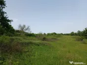 Resita, Teren Drept Intravilan, 11510 Mp., 4 Euro/Mp., Valea 