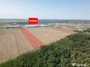 Teren Vanzare Intravilan Branesti investitie Zona Industrial 