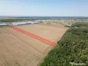 Teren Vanzare Intravilan Branesti investitie Zona Industrial 