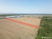Teren Vanzare Intravilan Branesti investitie Zona Industrial 