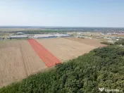 Teren Vanzare Intravilan Branesti investitie Zona Industrial 