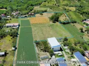 OPORTUNITATE UNICA IN DOMENIUL VITICOL 