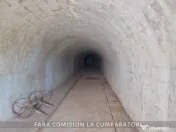 OPORTUNITATE UNICA IN DOMENIUL VITICOL 