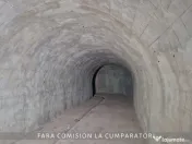 OPORTUNITATE UNICA IN DOMENIUL VITICOL 