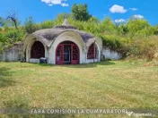 OPORTUNITATE UNICA IN DOMENIUL VITICOL 