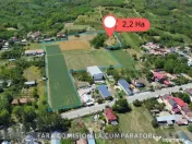 OPORTUNITATE UNICA IN DOMENIUL VITICOL 