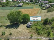 OPORTUNITATE UNICA IN DOMENIUL VITICOL 