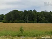 TEREN PRETABIL COMERCIAL, 5000 mp DN1 