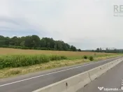 TEREN PRETABIL COMERCIAL, 5000 mp DN1 